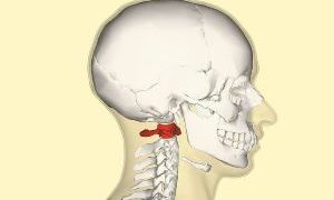 Chiropractor Wilmington NC: Atlas Orthogonal Technique